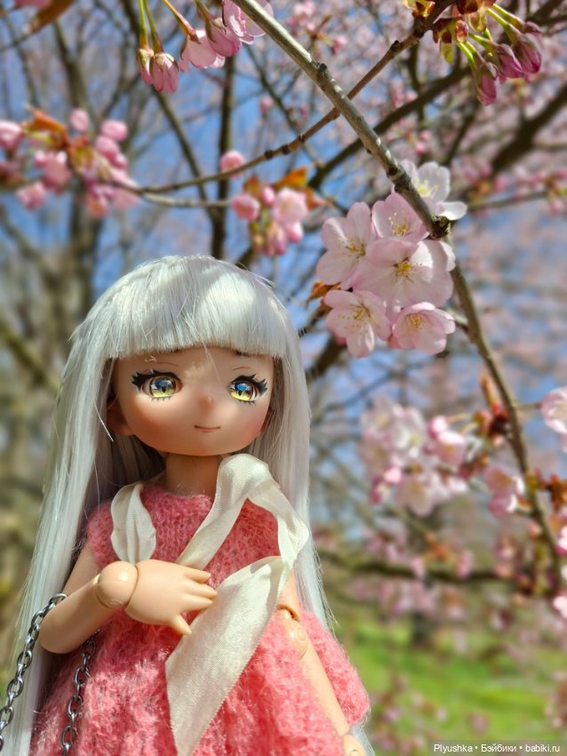 Сакура цветёт — Аниме куклы (MJD/Винил): Imomo