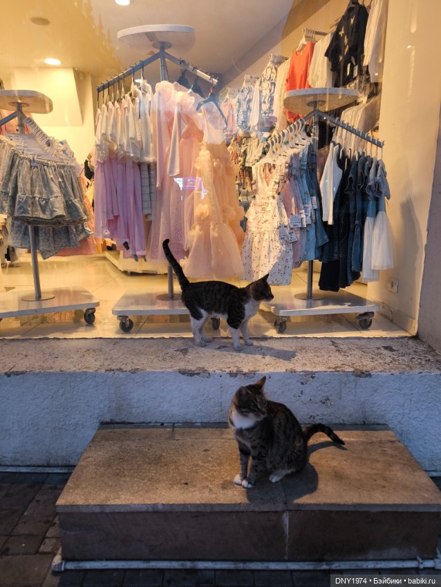 Возвращение в детство, часть 1 (фото 5)