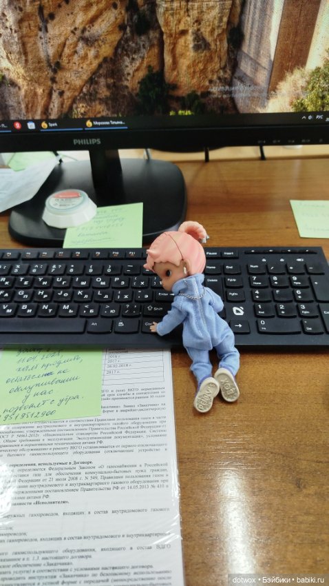 Мимоходом — Игровые куклы разных производителей (Разное): редкие бренды