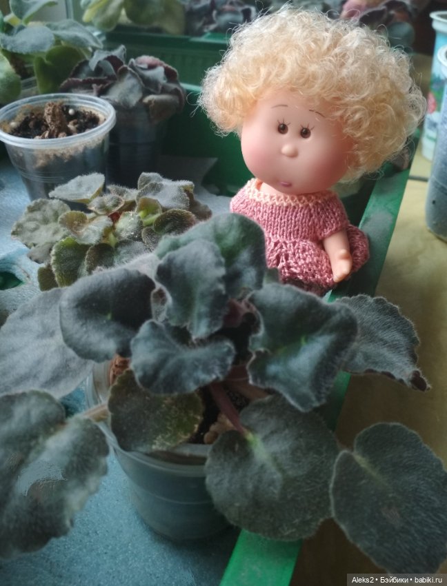 Микро Мия Картофельная куколка (фото 4)