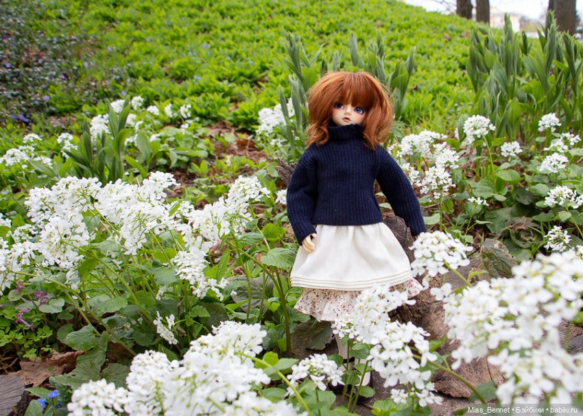 Девочка и цветочки — Куклы Volks (Волкс): Super Dollfie (SD) и Dollfie Dream (DD) (фото 2)