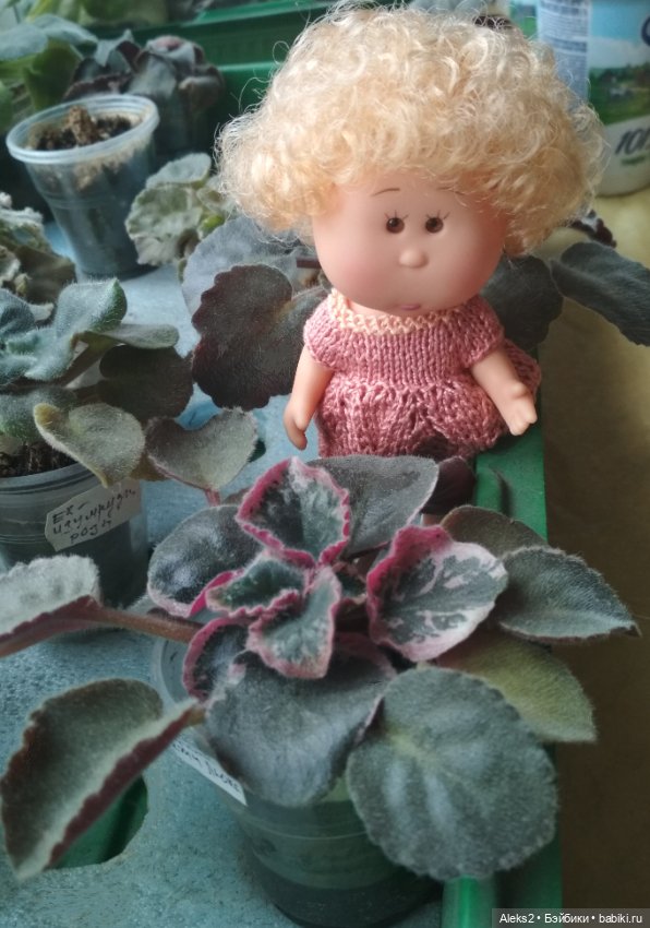 Микро Мия Картофельная куколка (фото 5)