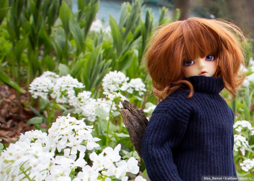 Девочка и цветочки — Куклы Volks (Волкс): Super Dollfie (SD) и Dollfie Dream (DD)