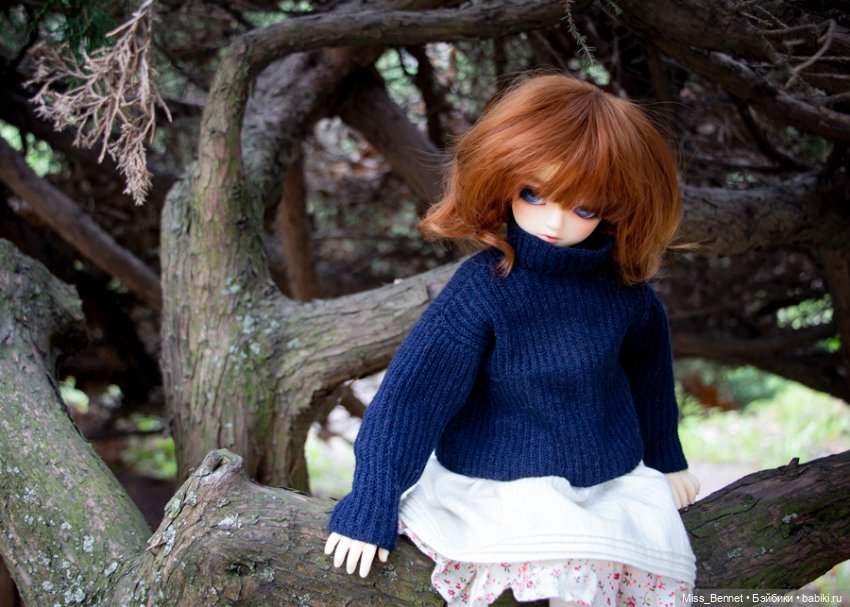 Девочка и цветочки — Куклы Volks (Волкс): Super Dollfie (SD) и Dollfie Dream (DD) (фото 3)