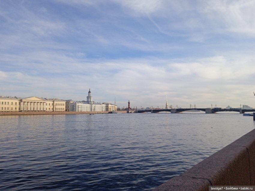 На берегах Невы можно встретить