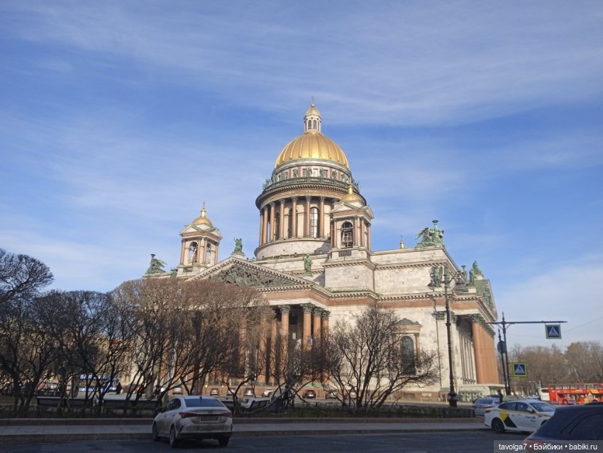 На берегах Невы можно встретить