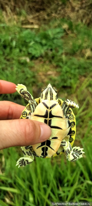 Джокер — Коллекционные экшн (фото 2)