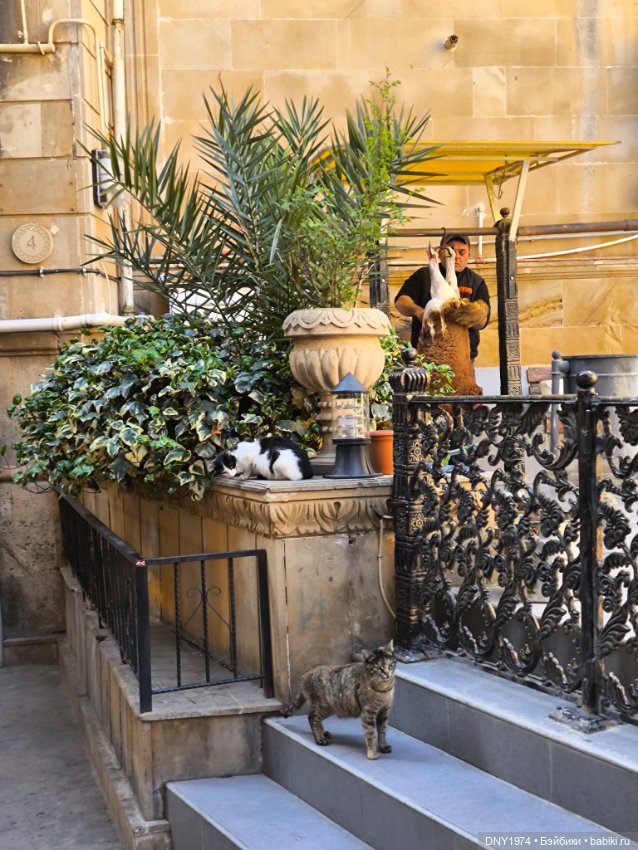 Возвращение в детство, часть 4 (фото 3)