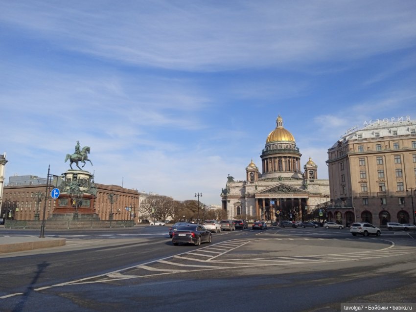 На берегах Невы можно встретить