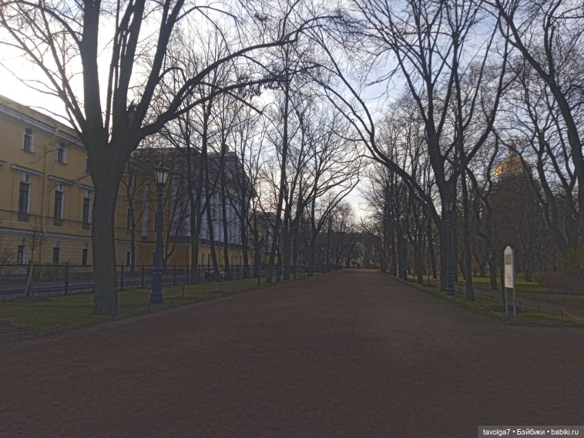 На берегах Невы можно встретить