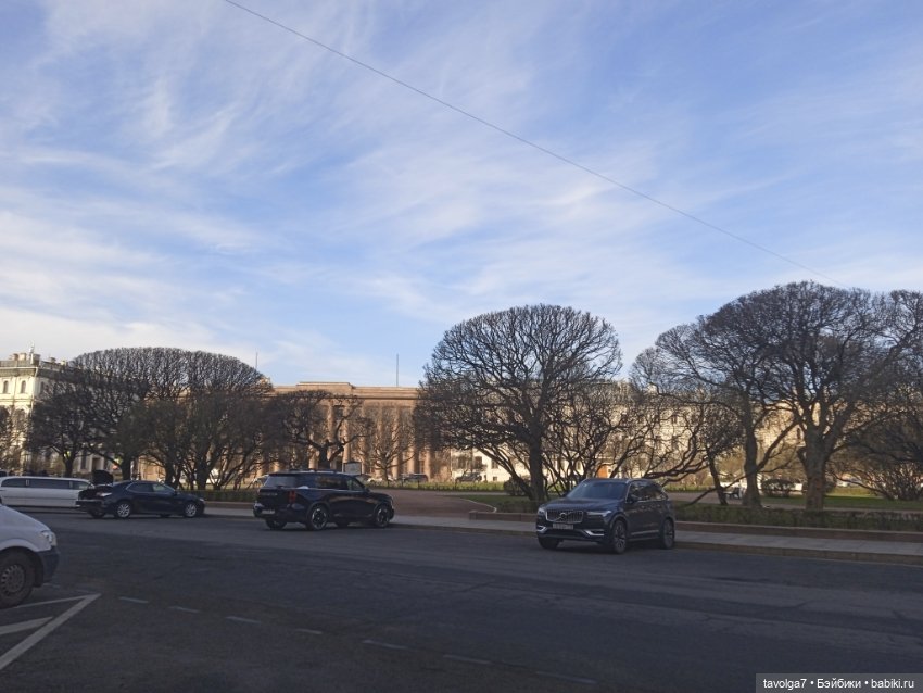 На берегах Невы можно встретить