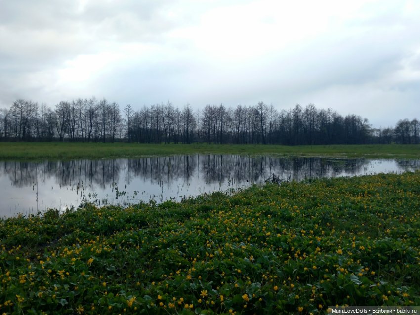 За полчаса до грозы — Куклы Rosemarie Anna Muller (Мюллер): Вихтели (Wichtel) (фото 10)