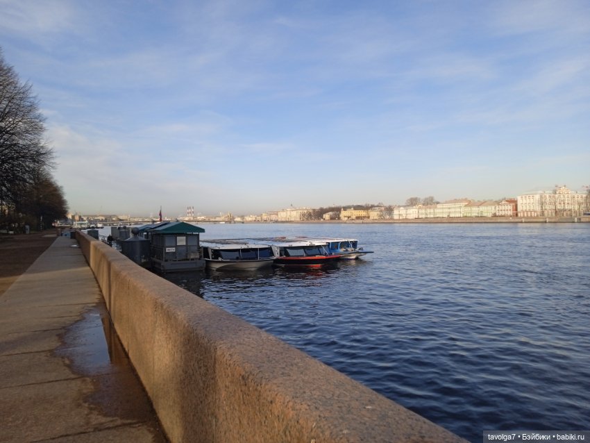 На берегах Невы можно встретить (фото 10)