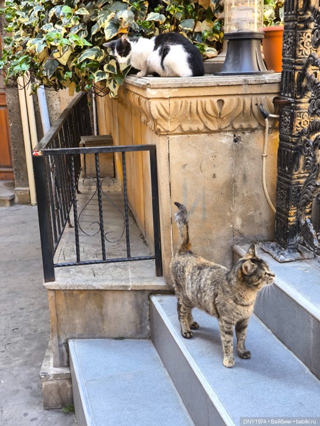 Возвращение в детство, часть 4 (фото 4)