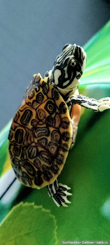 Джокер — Коллекционные экшн (фото 7)