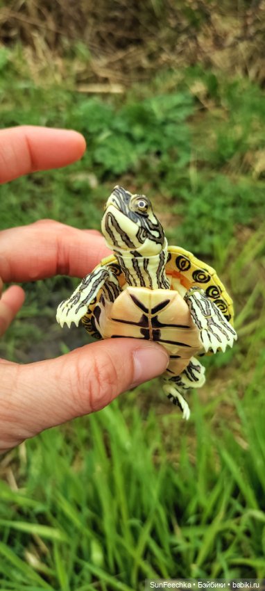 Джокер — Коллекционные экшн (фото 3)