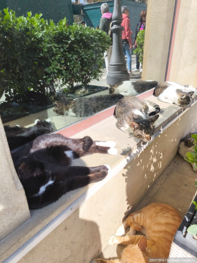 Возвращение в детство, часть 3 (фото 3)