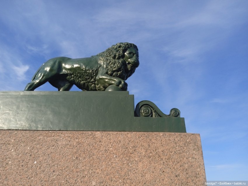 На берегах Невы можно встретить (фото 9)