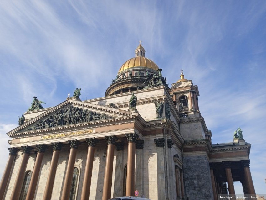 На берегах Невы можно встретить