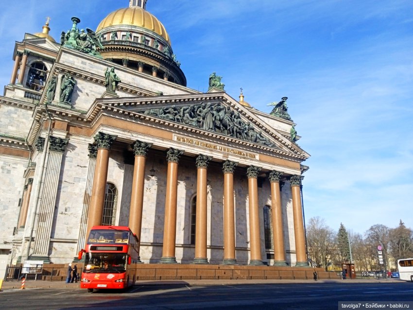 На берегах Невы можно встретить