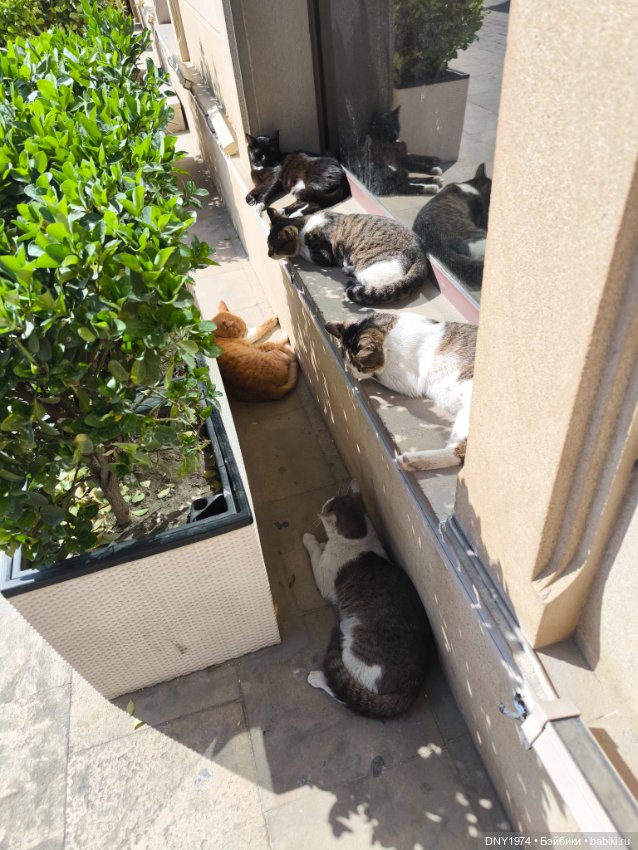 Возвращение в детство, часть 3 (фото 2)