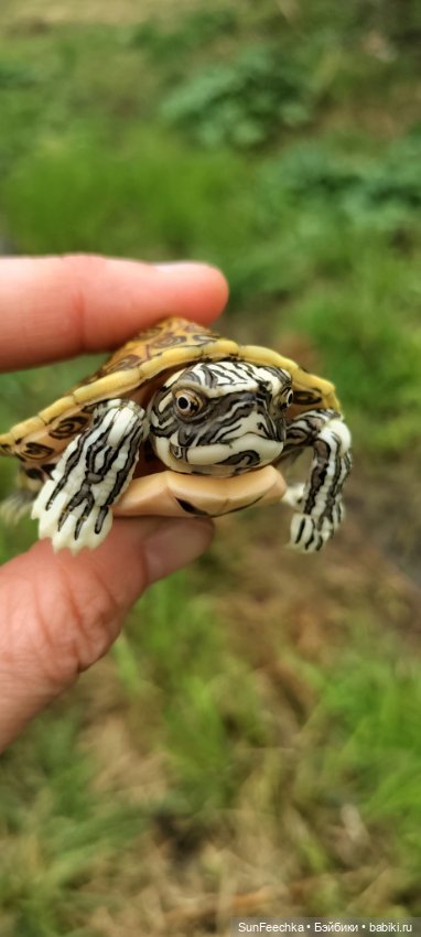 Джокер — Коллекционные экшн