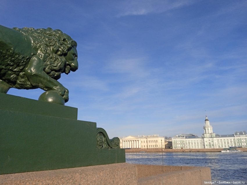 На берегах Невы можно встретить (фото 8)