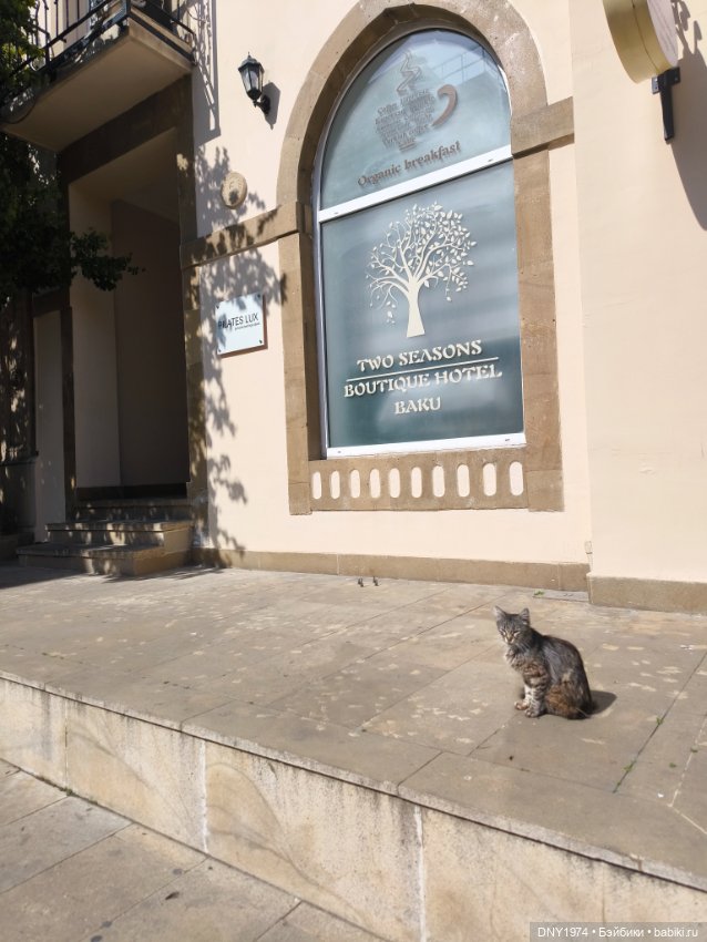 Возвращение в детство, часть 3