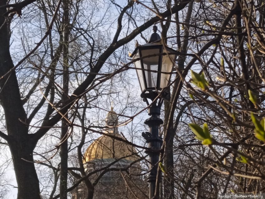 На берегах Невы можно встретить