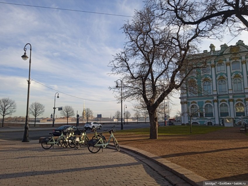На берегах Невы можно встретить (фото 3)