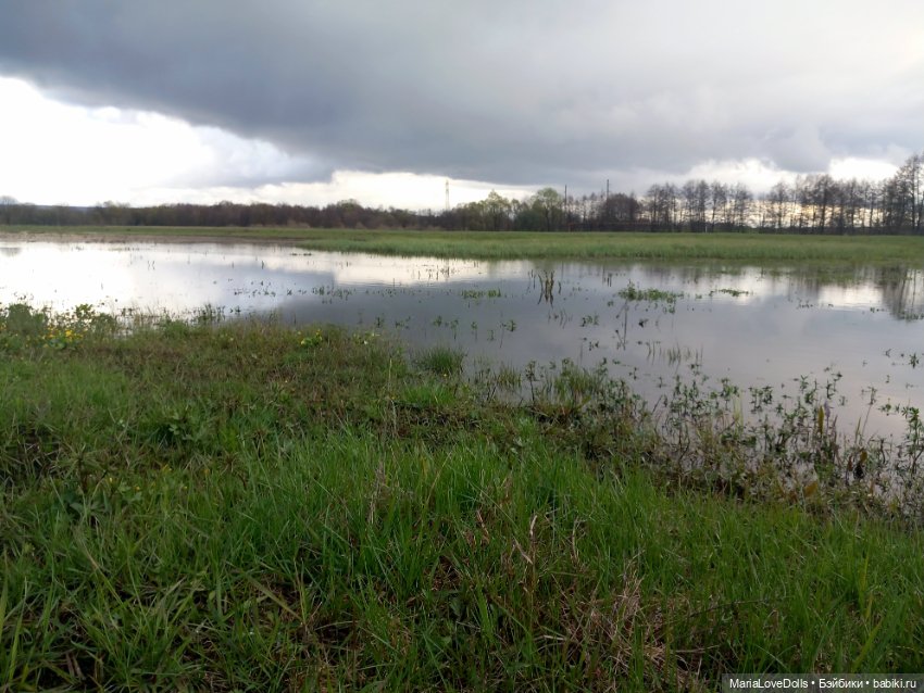 За полчаса до грозы — Куклы Rosemarie Anna Muller (Мюллер): Вихтели (Wichtel) (фото 9)