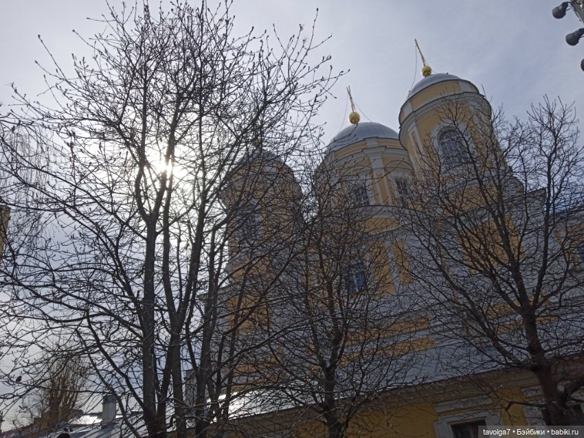 На берегах Невы можно встретить