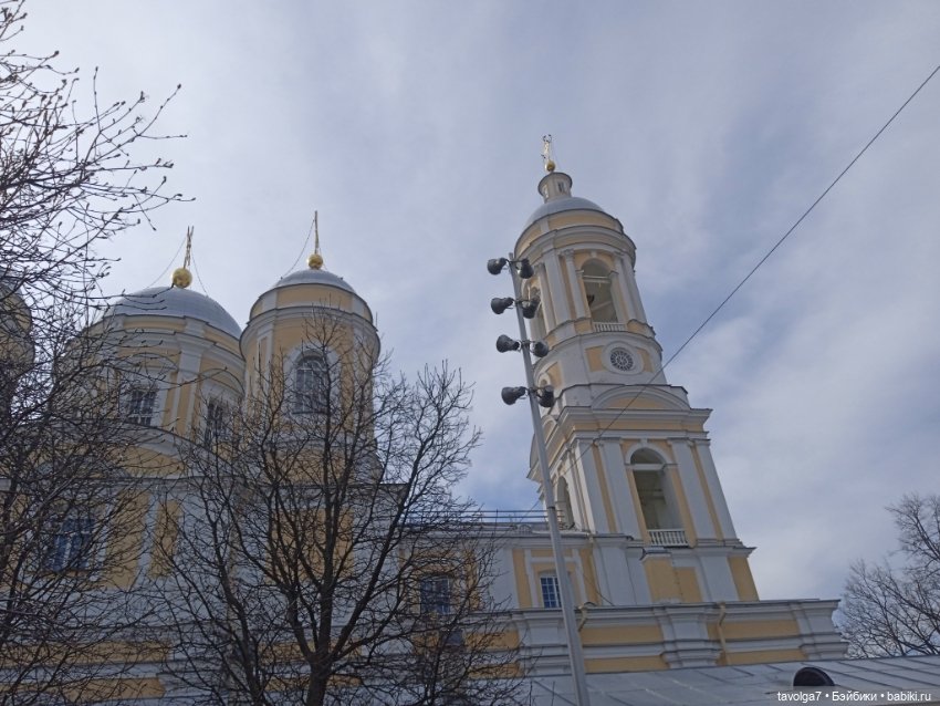 На берегах Невы можно встретить