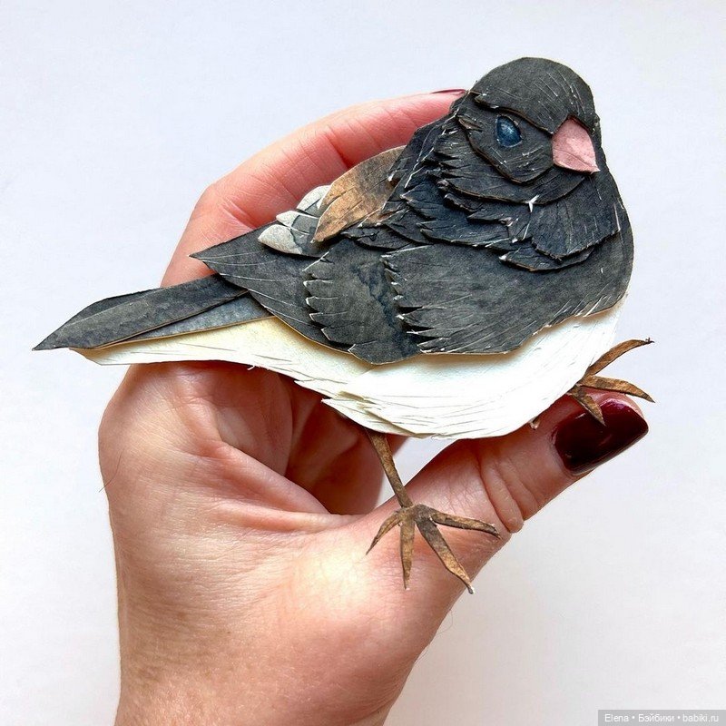 Бумажная магия Сары Суплины (фото 4)