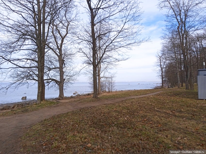 Rainbow High Junior в Петергофе (фото 2)