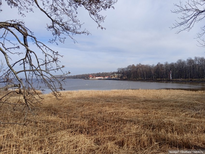 Rainbow High Junior в Петергофе