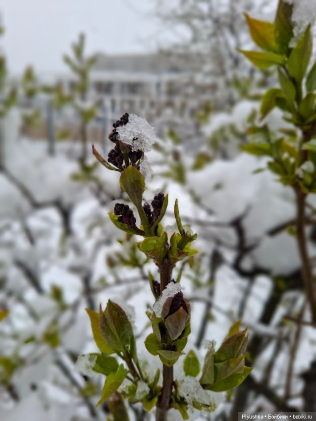 Капризы погоды — Фигурки Pop Mart (Поп Март): Blind Box (фото 8)