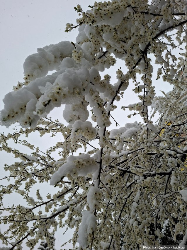 Капризы погоды — Фигурки Pop Mart (Поп Март): Blind Box