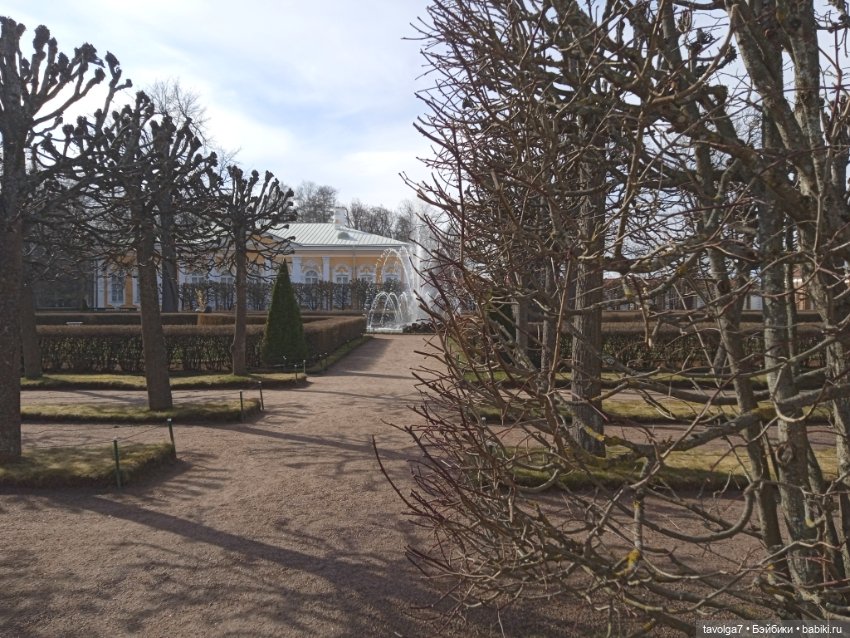 Rainbow High Junior в Петергофе (фото 7)