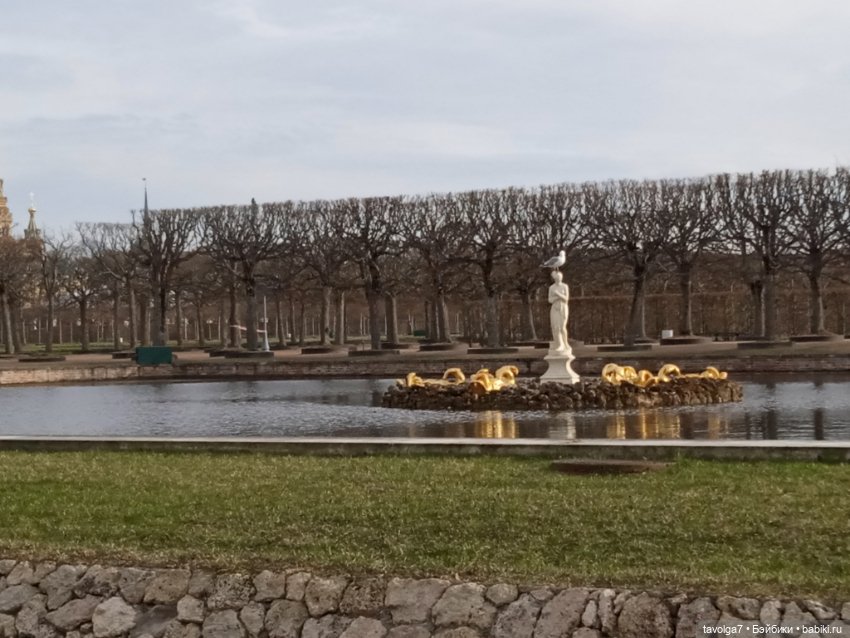 Rainbow High Junior в Петергофе