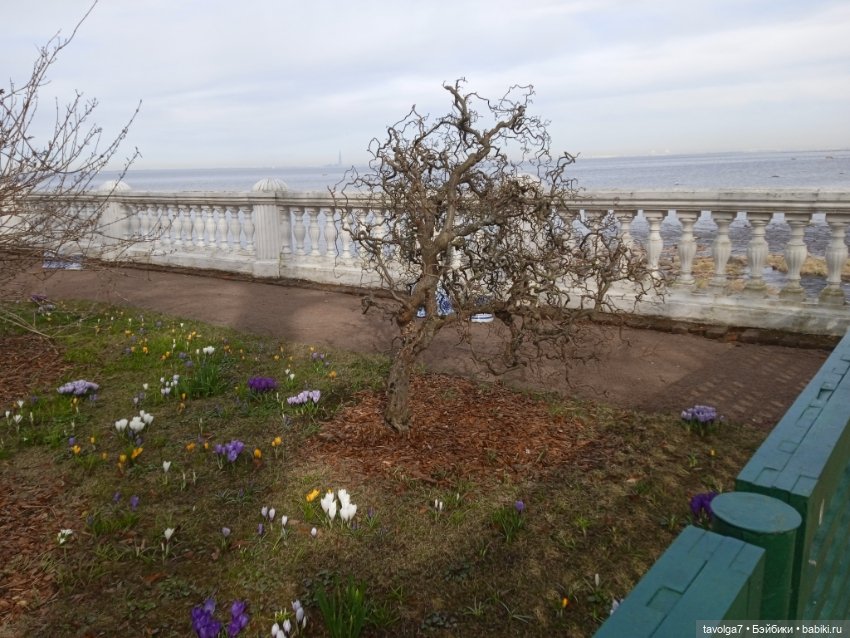 Rainbow High Junior в Петергофе (фото 4)