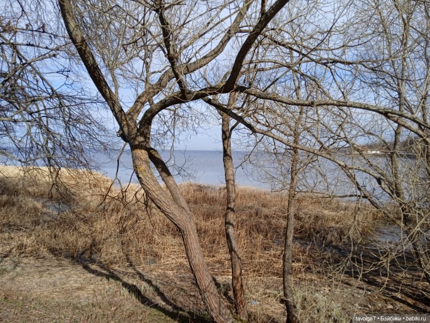 Rainbow High Junior в Петергофе