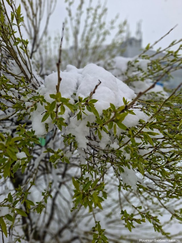 Капризы погоды — Фигурки Pop Mart (Поп Март): Blind Box (фото 7)