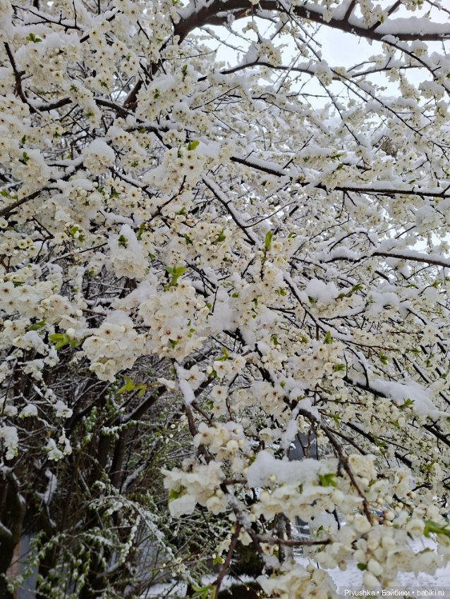 Капризы погоды — Фигурки Pop Mart (Поп Март): Blind Box (фото 2)