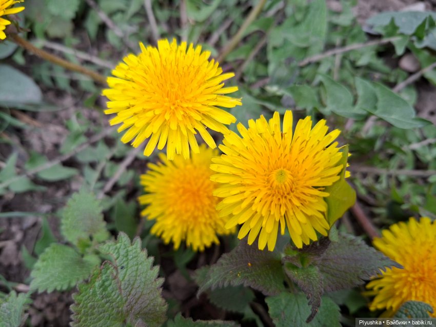 Прогулка по Москве — Куклы Barbie (Барби): Looks