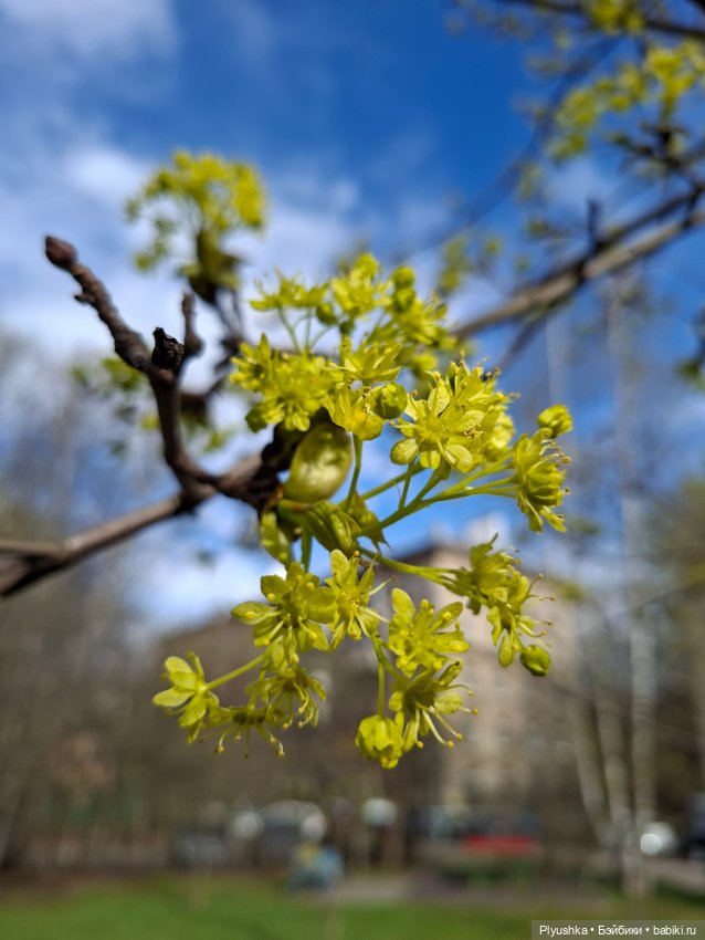 Прогулка по Москве — Куклы Barbie (Барби): Looks