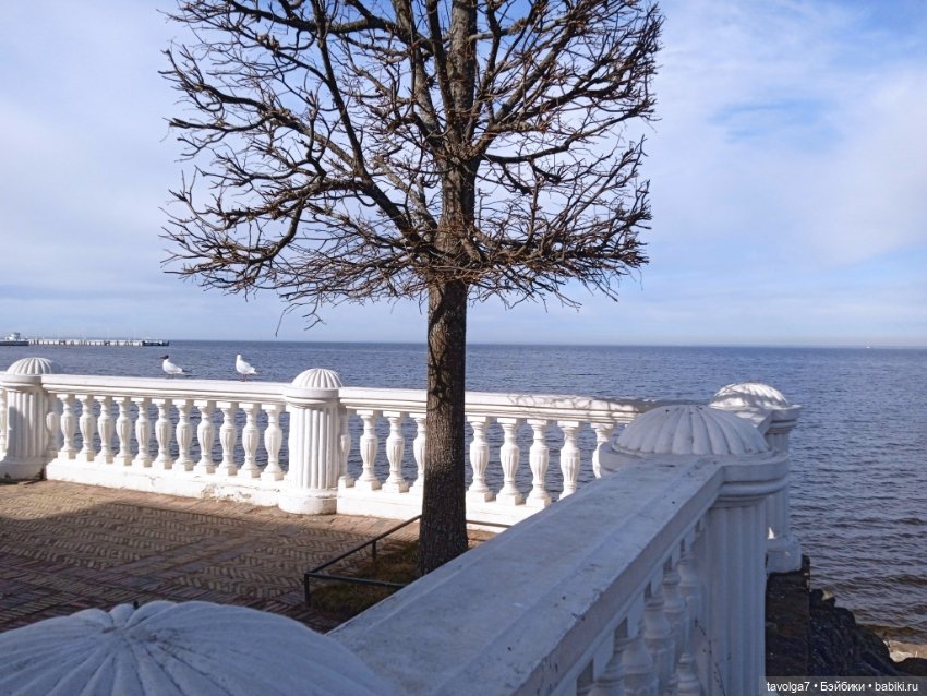 Кото-Русалка в Петергофе — Туризм и путешествия: фотоотчеты из поездок