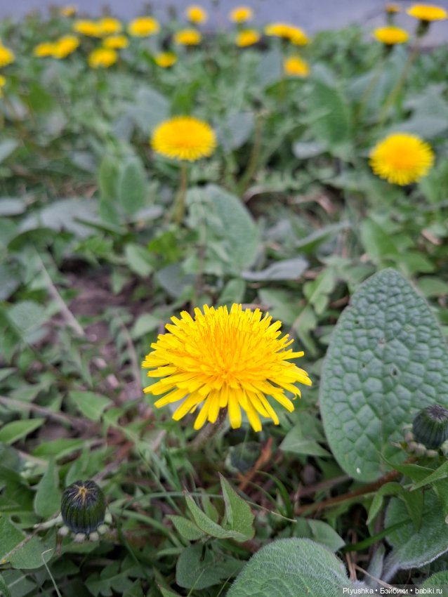 Прогулка по Москве — Куклы Barbie (Барби): Looks