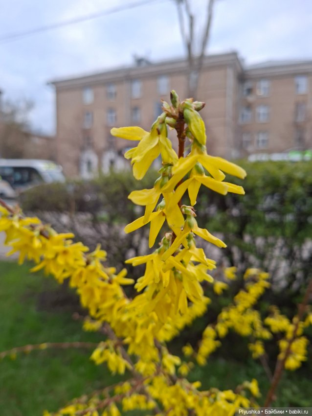 Прогулка по Москве — Куклы Barbie (Барби): Looks (фото 7)