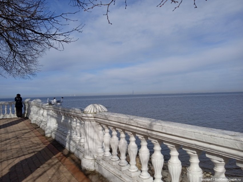 Кото-Русалка в Петергофе — Туризм и путешествия: фотоотчеты из поездок